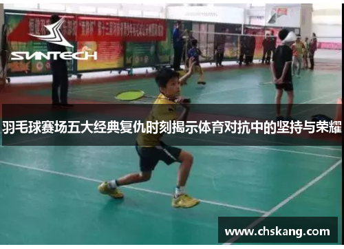 羽毛球赛场五大经典复仇时刻揭示体育对抗中的坚持与荣耀